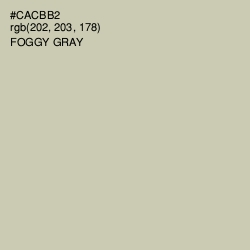 #CACBB2 - Foggy Gray Color Image